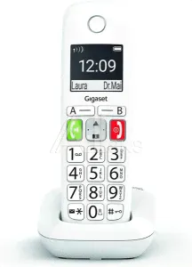 S30852-H2961-S302 GIGASET E290HX HSB RUS